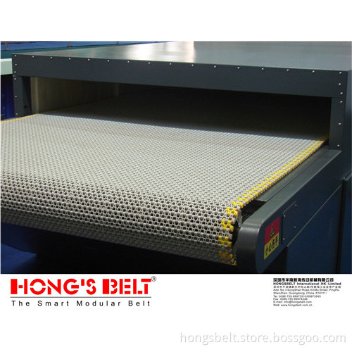 The Food Grade Modular Conveyor Belt (HS-501B)